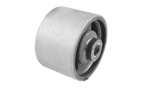 Mounting, engine TEDGUM 00607021)