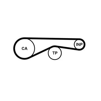 Distributieriem CONTINENTAL CTAM CT1095)