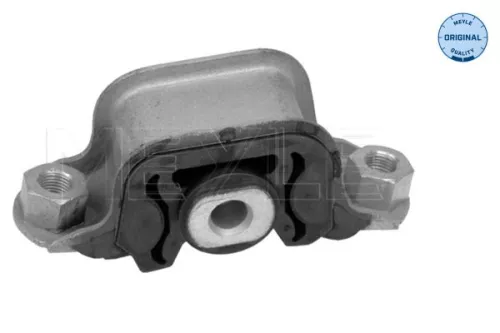 Montage, motor MEYLE 11-14 184 0009)