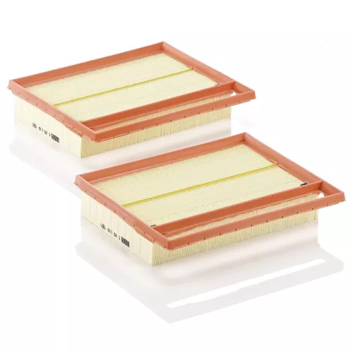 Luchtfilter MANN-FILTER C 25 110-2)