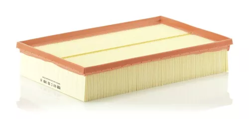 Luchtfilter MANN-FILTER C 30 189)