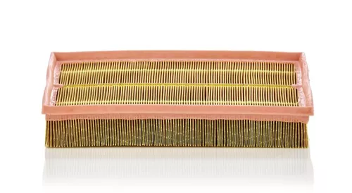 Luchtfilter MANN-FILTER C 33 189)