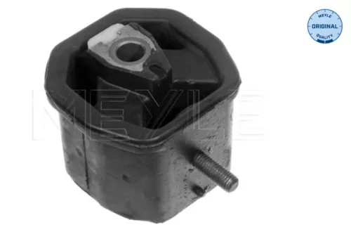 Montage, motor MEYLE 100 199 0117)