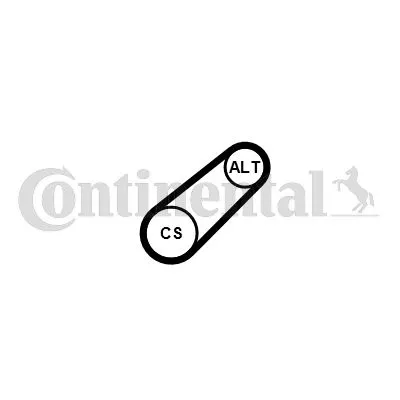 V-vormige riem CONTINENTAL CTAM 6PK799 ELAST)