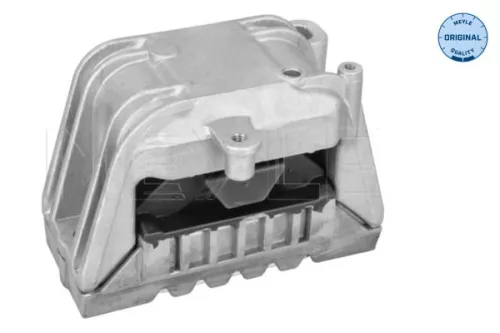 Montage, motor MEYLE 100 199 0217)