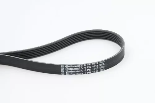V-ribbed Belt CONTINENTAL CTAM 6PK1613)