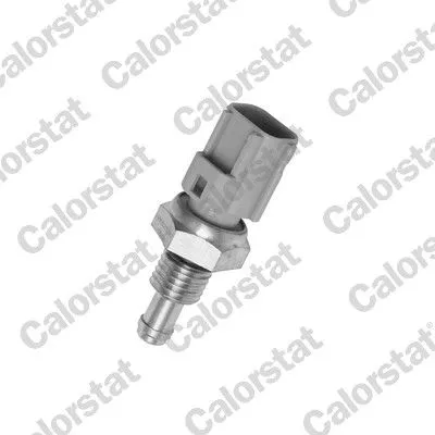 Sensor, koelvloeistoftemperatuur CALORSTAT by Vernet WS2596)