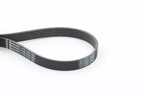 V-vormige riem CONTINENTAL CTAM 6PK1310)