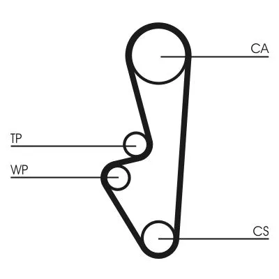 Distributieriem CONTINENTAL CTAM CT798)
