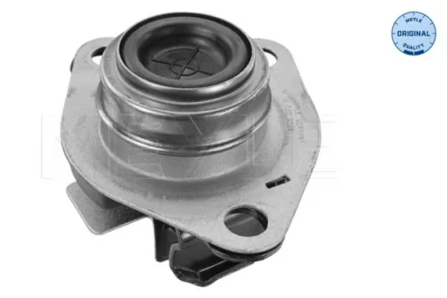 Montage, motor MEYLE 16-14 030 0029)