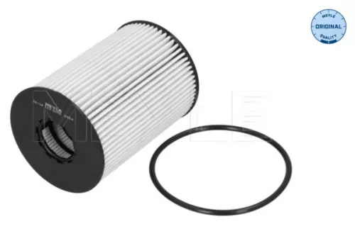 Oliefilter MEYLE 16-14 322 0006)