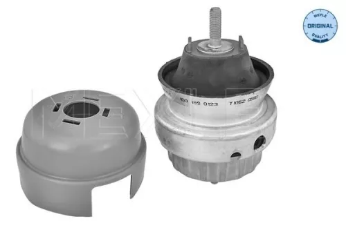 Montage, motor MEYLE 100 199 0123)