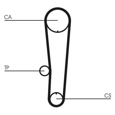 Distributieriemset CONTINENTAL CTAM CT1017K1)