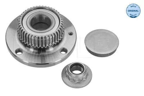 Wheel Hub MEYLE 100 752 0007)