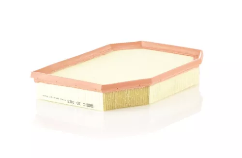 Luchtfilter MANN-FILTER C 30 003)