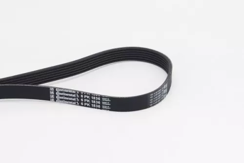 V-vormige riem CONTINENTAL CTAM 6PK1836)