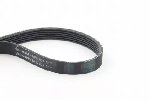 V-vormige riem CONTINENTAL CTAM 6PK800)