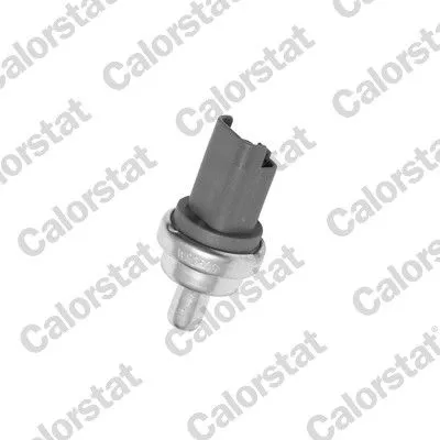 Sensor, koelvloeistoftemperatuur CALORSTAT by Vernet WS2609)