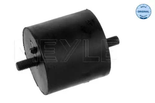 Montage, motor MEYLE 300 118 1120)
