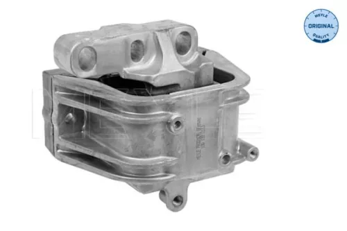 Montage, motor MEYLE 100 199 0113)
