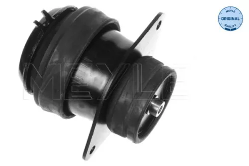 Montage, motor MEYLE 100 199 0072)