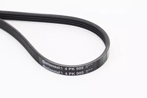 V-ribbed Belt CONTINENTAL CTAM 4PK905)