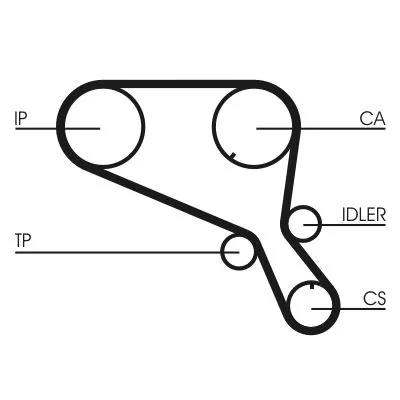 Distributieriem CONTINENTAL CTAM CT952)