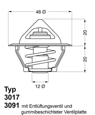 Thermostaat, koelvloeistof BorgWarner (Wahler) 3017.87D2)