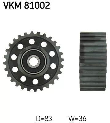Ombuigingspoelie/geleidingspoelie, distributieriem SKF VKM 81002)