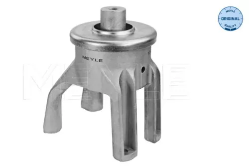 Montage, motor MEYLE 100 199 0147)