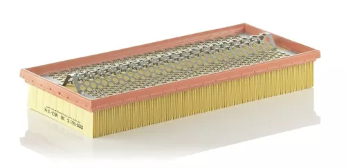 Luchtfilter MANN-FILTER C 38 163/1)
