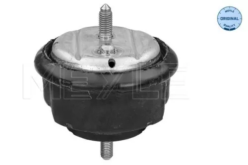 Montage, motor MEYLE 300 221 1101)