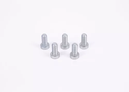 Schroef BOSCH F 01M 100 684)