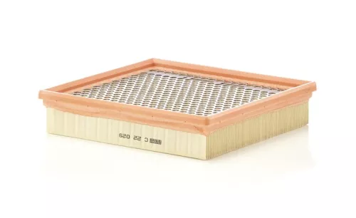 Luchtfilter MANN-FILTER C 22 029)