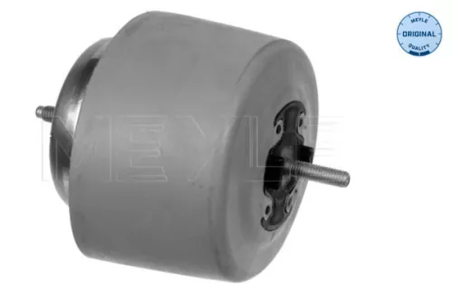 Montage, motor MEYLE 100 199 0084)