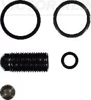 Reparatieset, unit injector VICTOR REINZ 15-42119-01)