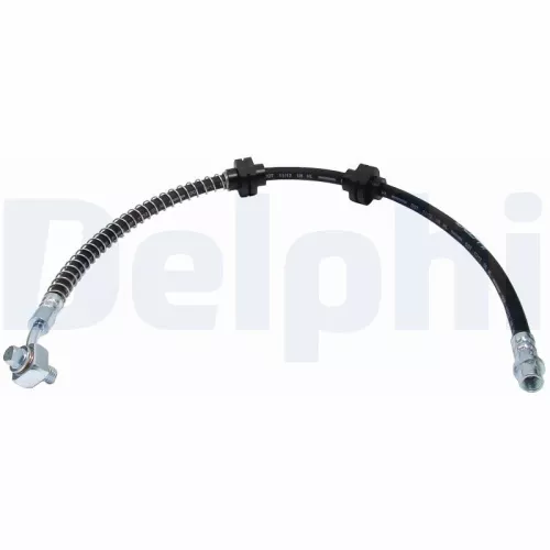 Remslang DELPHI LH6874)