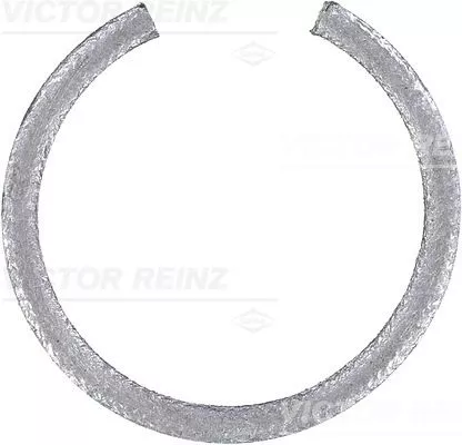 Asafdichting, krukas VICTOR REINZ 71-19722-00)
