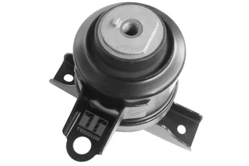 Montage, motor TEDGUM 00393612)