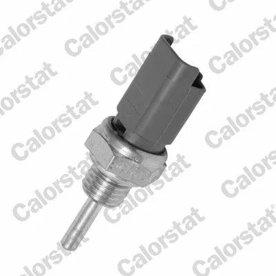 Sensor, koelvloeistoftemperatuur CALORSTAT by Vernet WS2633)