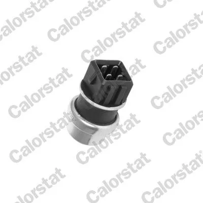 Sensor, koelvloeistoftemperatuur CALORSTAT by Vernet WS2625)