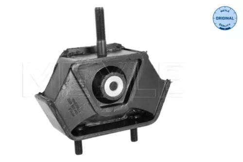 Montage, motor MEYLE 034 024 0032)