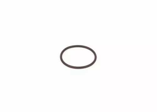 rubberen ring BOSCH F 00R 0P0 166)
