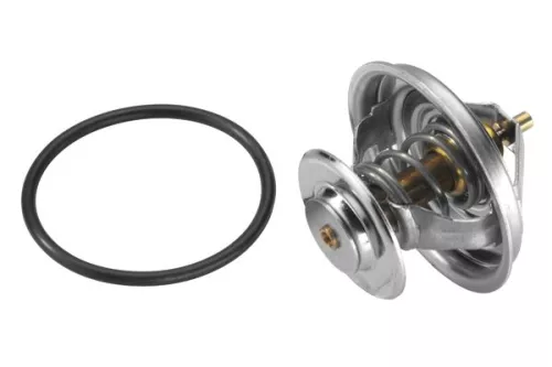Thermostat, coolant BorgWarner (Wahler) 4105.79D)