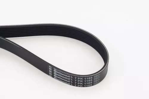 V-vormige riem CONTINENTAL CTAM 7PK1165)