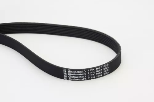 V-vormige riem CONTINENTAL CTAM 7PK1687)