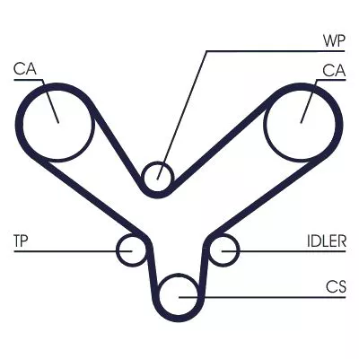Distributieriem CONTINENTAL CTAM CT1175)