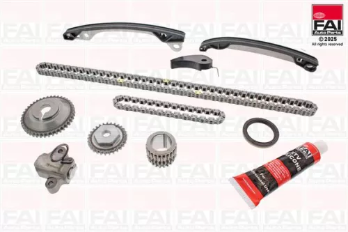 Timing Chain Kit FAI AutoParts TCK66)