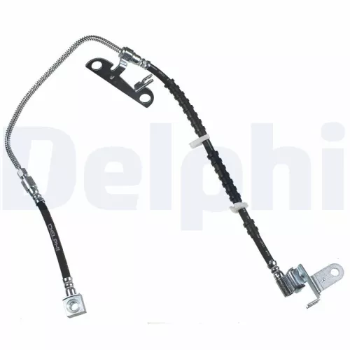 Remslang DELPHI LH6925)