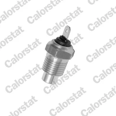 Sensor, koelvloeistoftemperatuur CALORSTAT by Vernet WS2509)